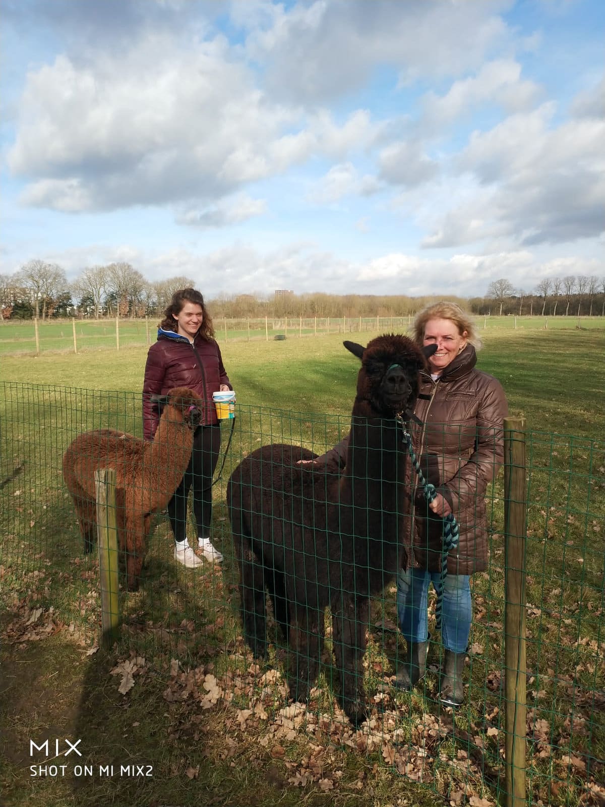 Wandelen met alpaca’s door het bos bij Malden