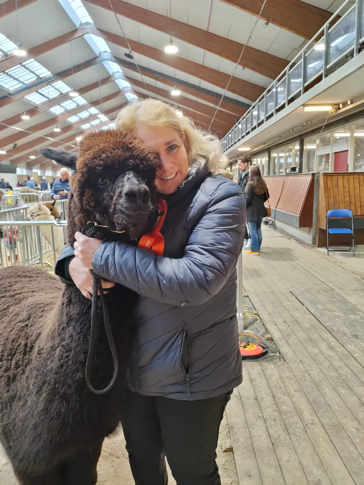 Caroline en Cyriel Janssen, eigenaren van Elshof Alpaca’s, bij hun alpaca’s