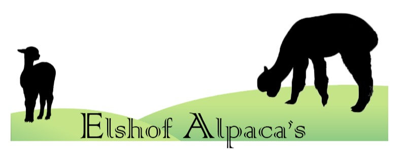 Elshof Alpaca’s