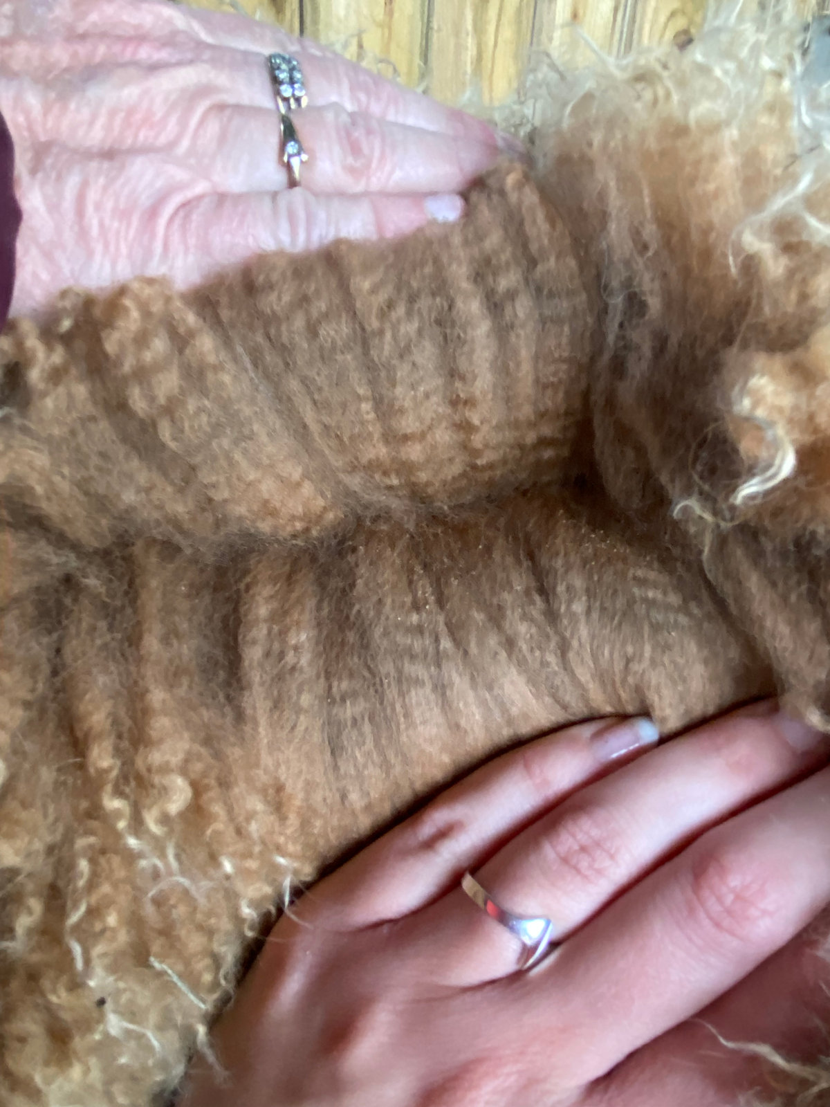 Close-up van zachte alpacawol