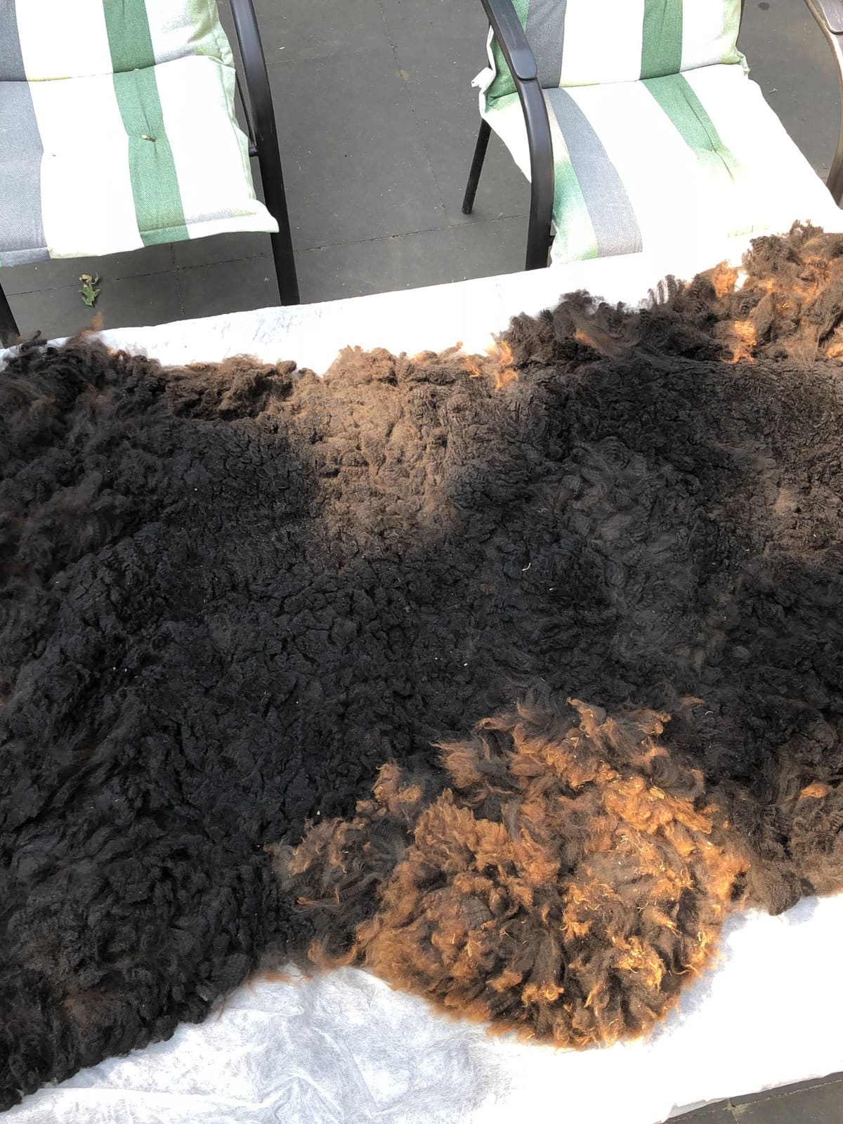 Zakjes alpacawol klaar voor gebruik