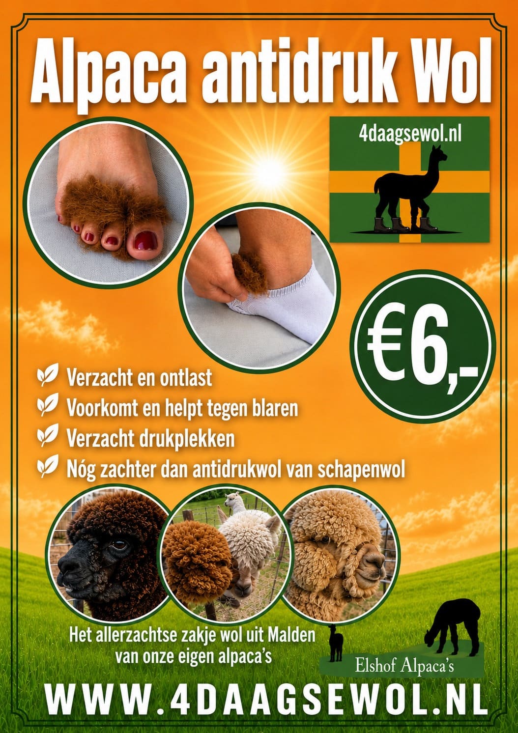 Poster: 4daagsewol van Elshof Alpaca’s – zakje alpacawol voor 6 euro langs de Vierdaagseroute